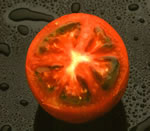 長生村産トマトの写真