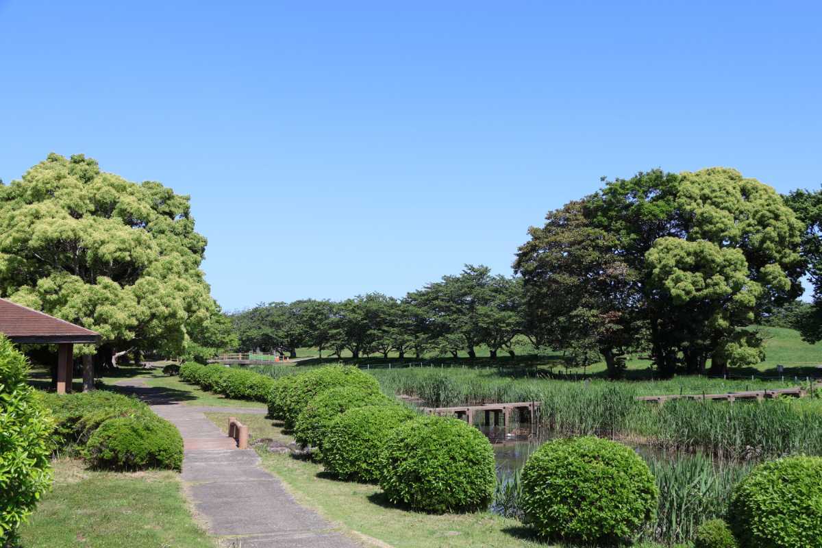 湿生植物園画像