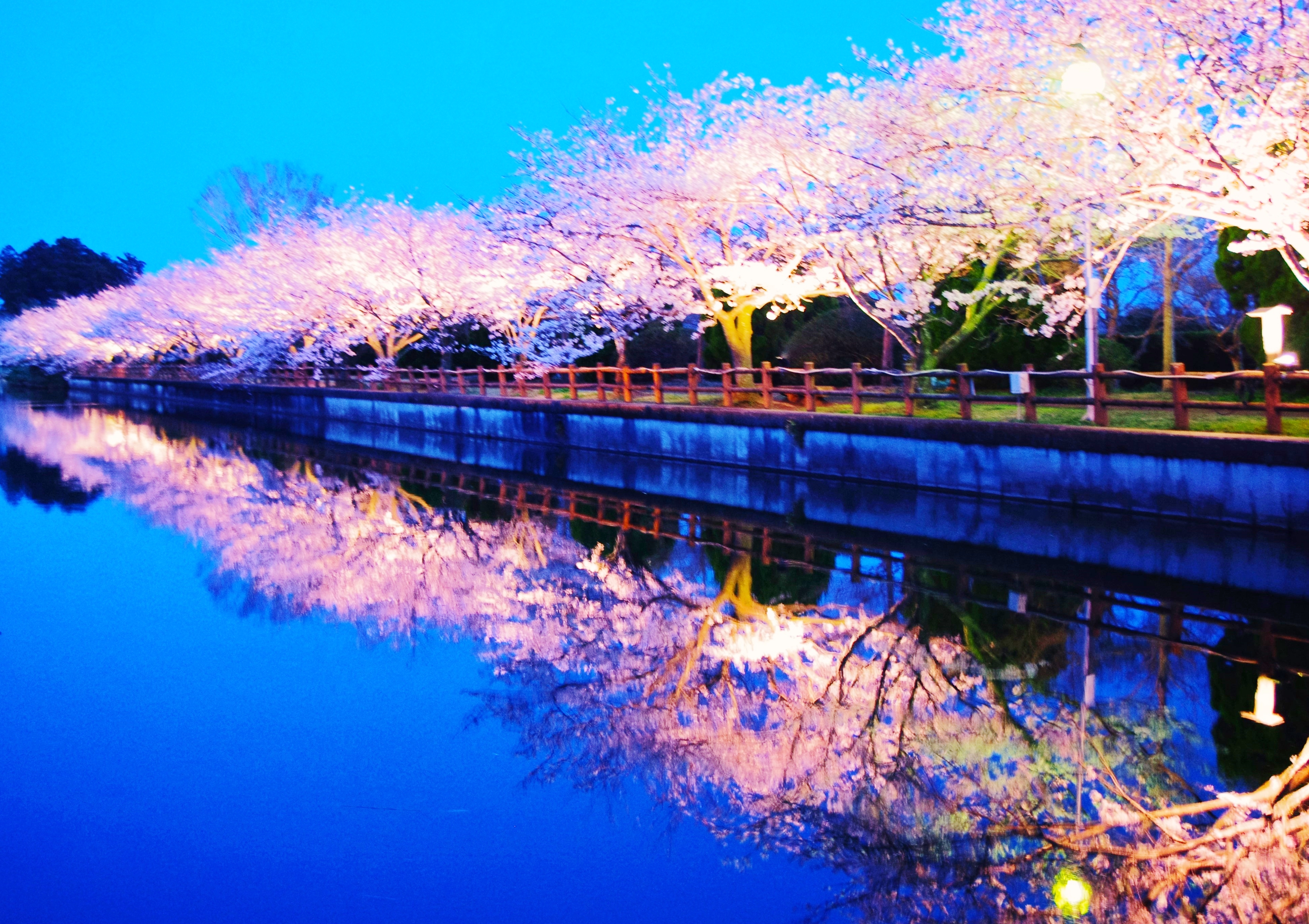 長生村観光協会長賞作品